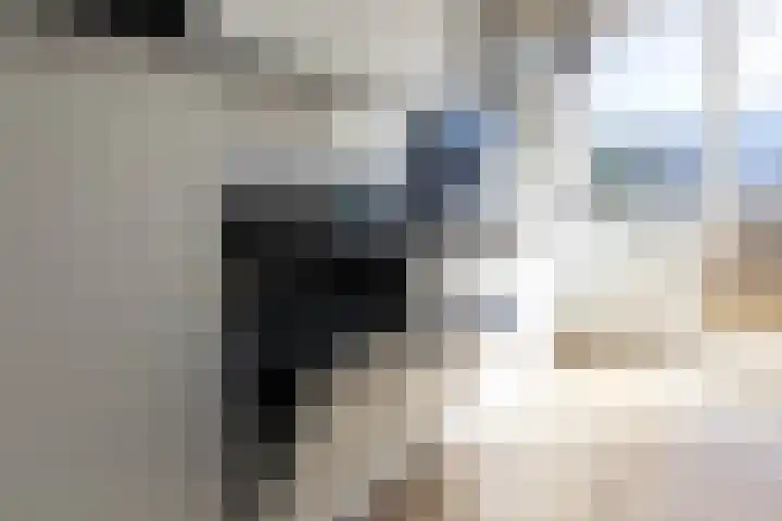 Cornelis Pronklaan 19 Alkmaar thumbnail 9