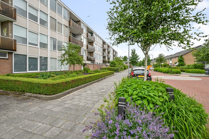 Cornelis Pronklaan 23 in Alkmaar Foto