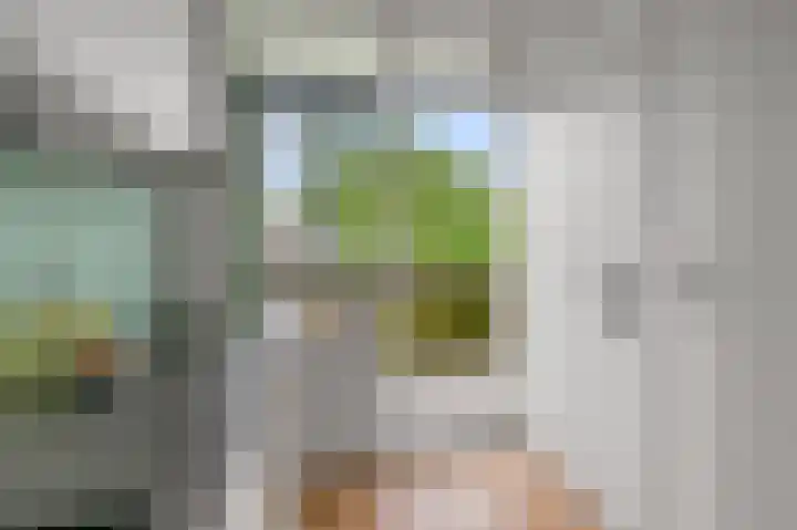 Cornelis Pronklaan 23 Alkmaar thumbnail 11