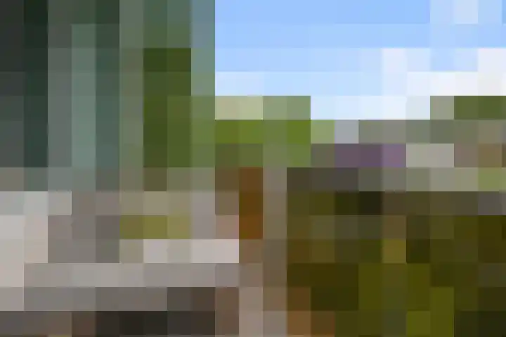 Cornelis Pronklaan 23 Alkmaar thumbnail 12
