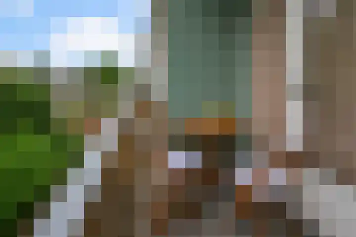 Cornelis Pronklaan 23 Alkmaar thumbnail 13