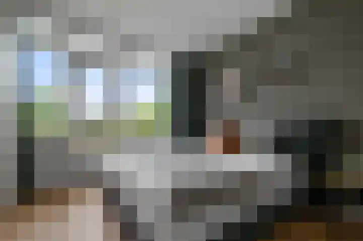 Cornelis Pronklaan 23 Alkmaar thumbnail 14