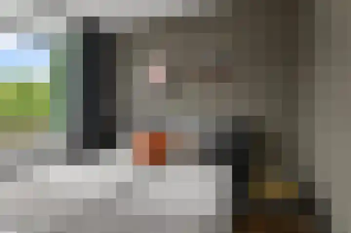 Cornelis Pronklaan 23 Alkmaar thumbnail 15