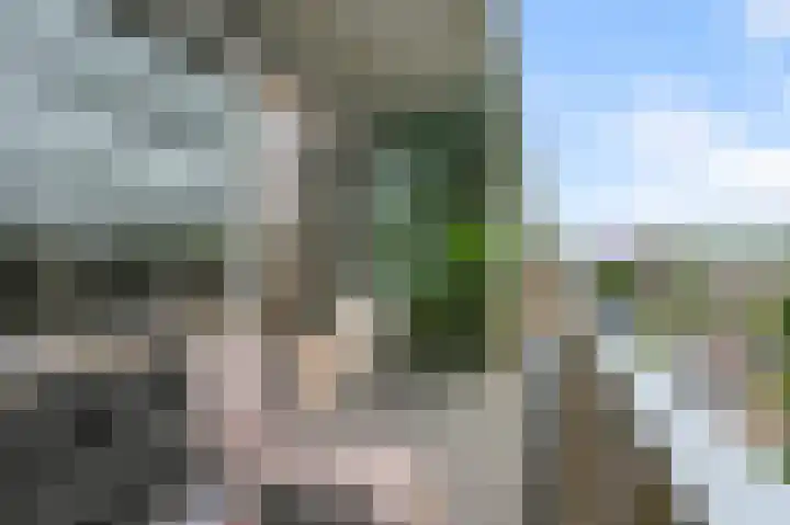 Cornelis Pronklaan 23 Alkmaar thumbnail 16