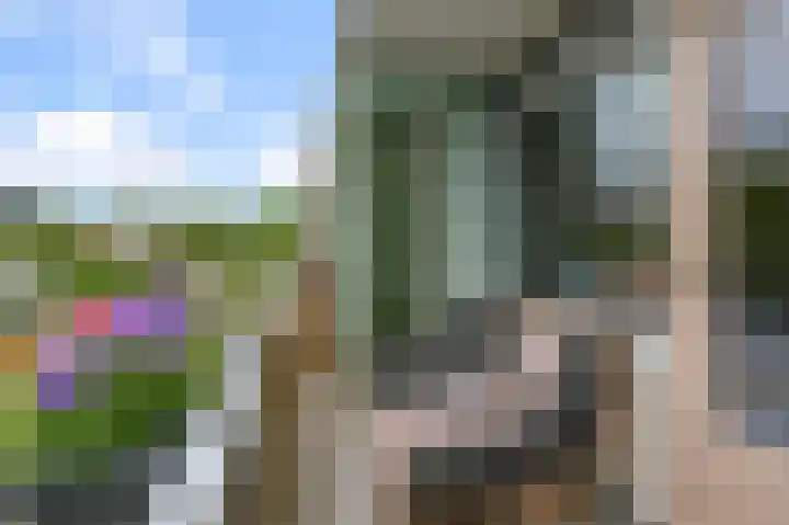 Cornelis Pronklaan 23 Alkmaar thumbnail 17