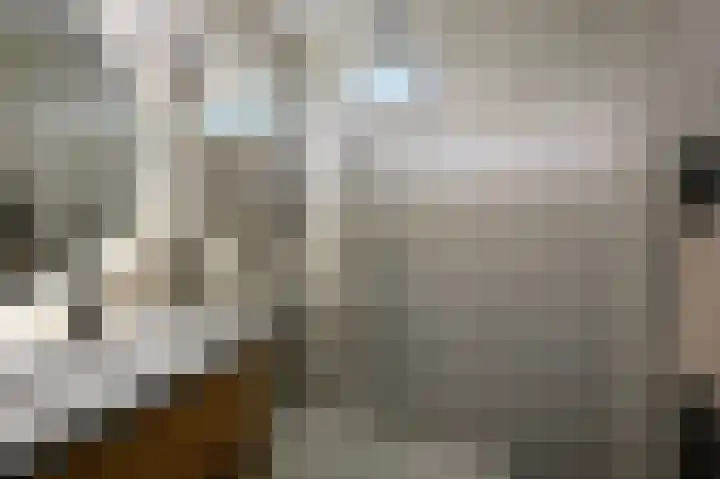 Cornelis Pronklaan 23 Alkmaar thumbnail 21