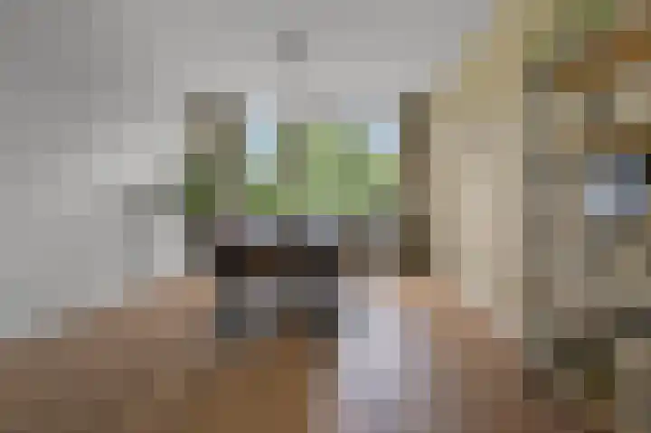 Cornelis Pronklaan 23 Alkmaar thumbnail 4