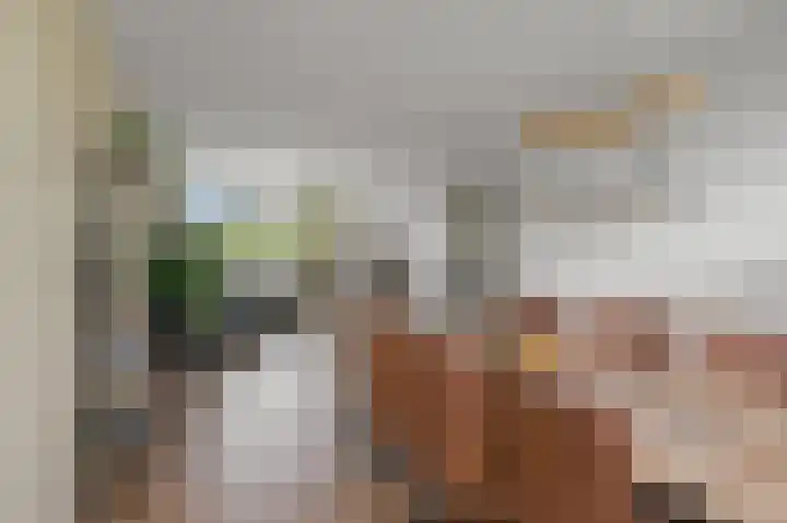 Cornelis Pronklaan 23 Alkmaar thumbnail 5