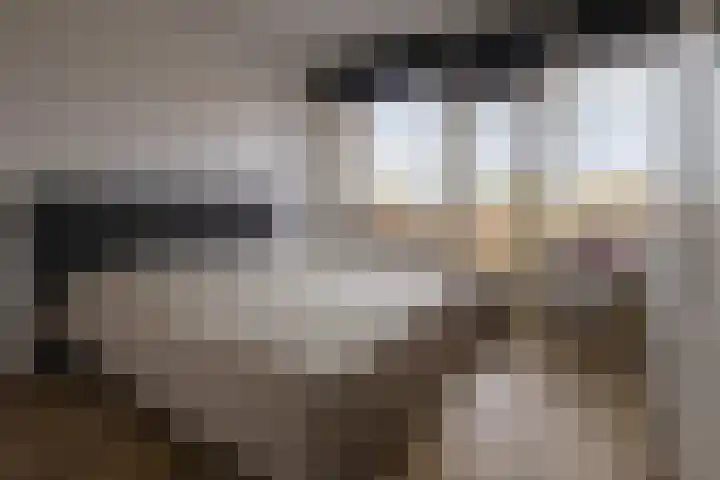 Cornelis Pronklaan 33 Alkmaar thumbnail 14