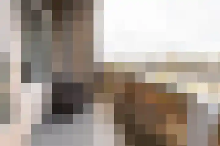 Cornelis Pronklaan 33 Alkmaar thumbnail 16
