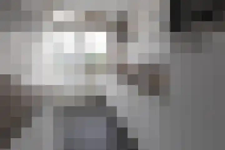 Cornelis Pronklaan 33 Alkmaar thumbnail 18