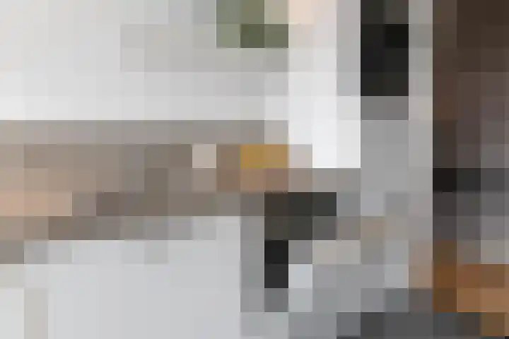 Cornelis Pronklaan 33 Alkmaar thumbnail 19