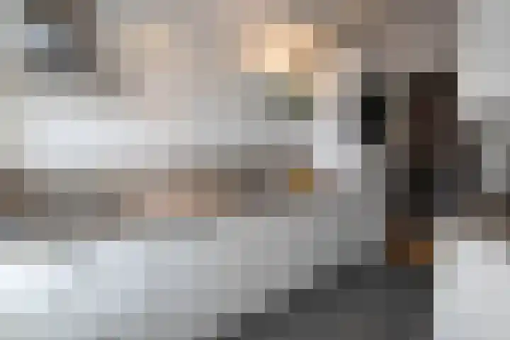 Cornelis Pronklaan 33 Alkmaar thumbnail 20