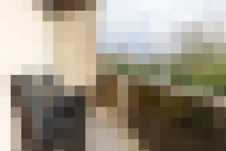 Cornelis Pronklaan 33 Alkmaar thumbnail 21