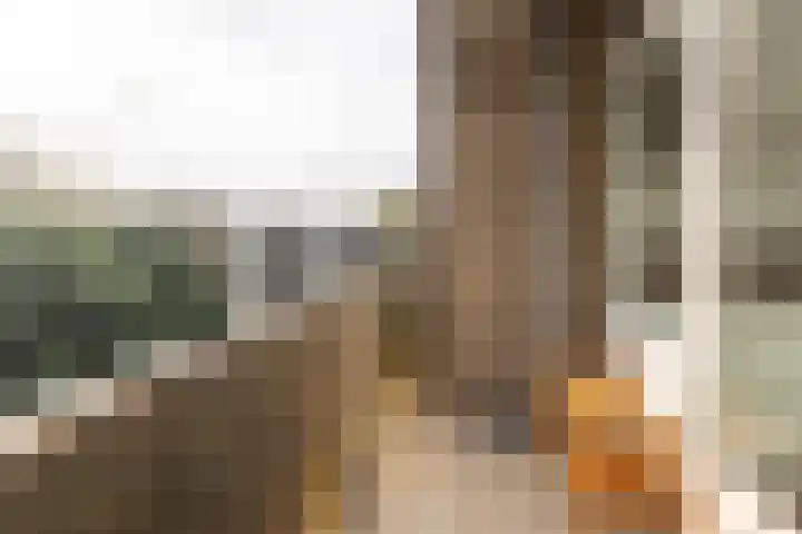 Cornelis Pronklaan 33 Alkmaar thumbnail 22