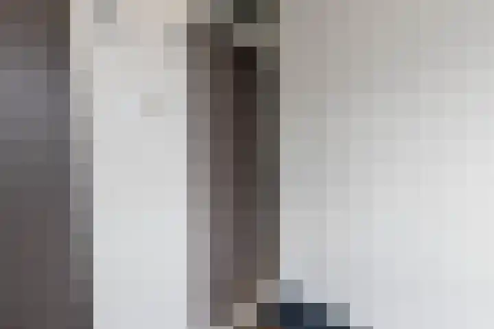 Cornelis Pronklaan 33 Alkmaar thumbnail 25