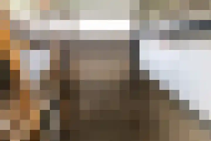 Cornelis Pronklaan 33 Alkmaar thumbnail 29