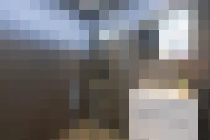 Cornelis Pronklaan 33 Alkmaar thumbnail 4