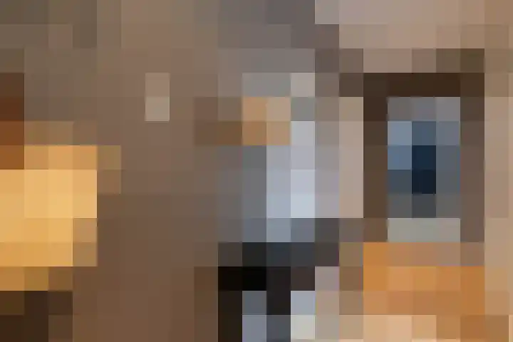 Cornelis Pronklaan 33 Alkmaar thumbnail 5