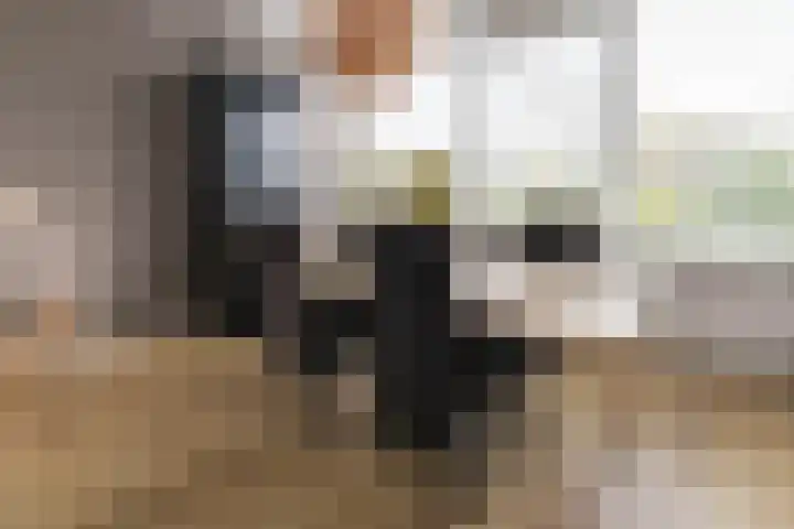 Cornelis Pronklaan 33 Alkmaar thumbnail 7