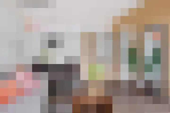Cornelis Pronklaan 41 Alkmaar thumbnail 12