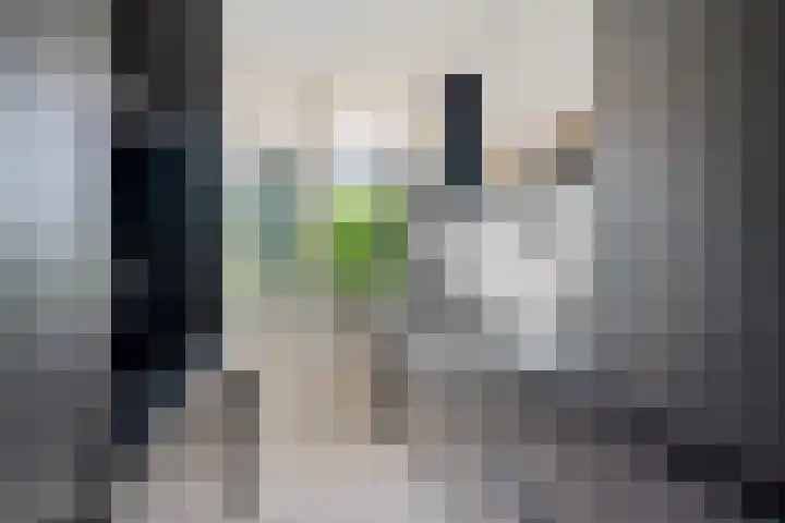 Cornelis Pronklaan 41 Alkmaar thumbnail 14