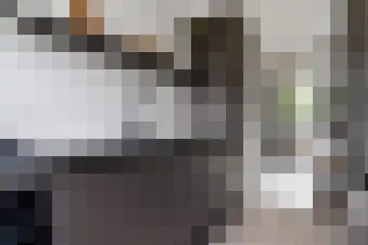 Cornelis Pronklaan 41 Alkmaar thumbnail 15