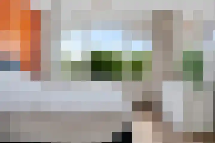 Cornelis Pronklaan 41 Alkmaar thumbnail 17