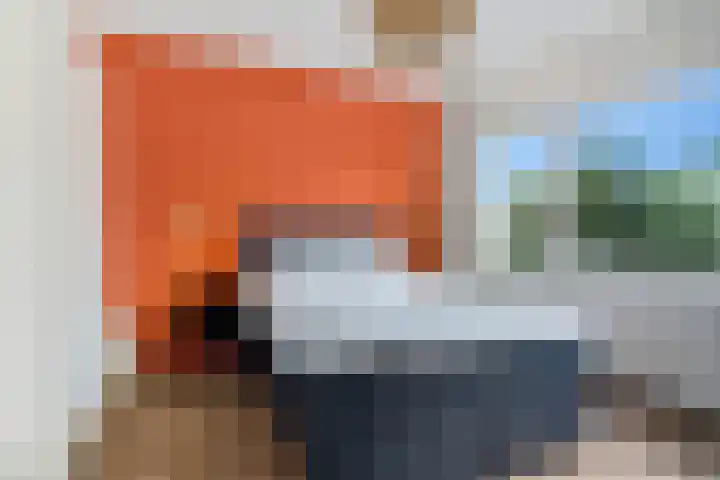 Cornelis Pronklaan 41 Alkmaar thumbnail 19