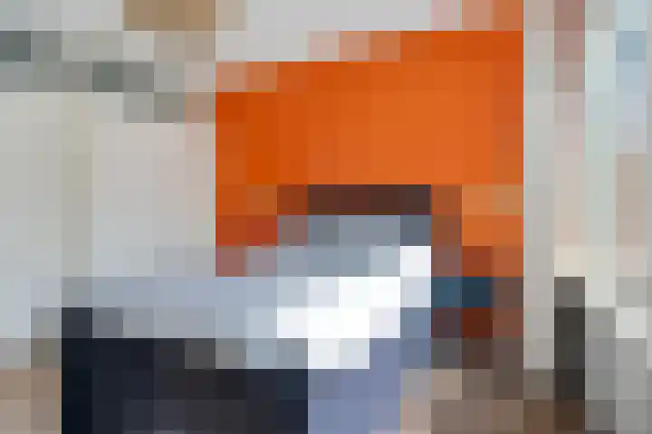 Cornelis Pronklaan 41 Alkmaar thumbnail 20