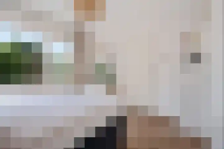 Cornelis Pronklaan 41 Alkmaar thumbnail 21