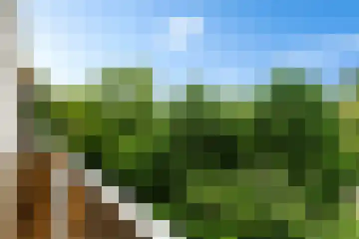 Cornelis Pronklaan 41 Alkmaar thumbnail 30