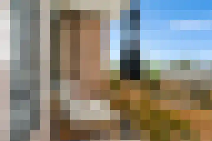 Cornelis Pronklaan 41 Alkmaar thumbnail 31