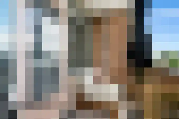 Cornelis Pronklaan 41 Alkmaar thumbnail 32