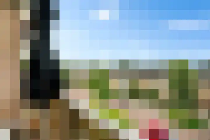 Cornelis Pronklaan 41 Alkmaar thumbnail 33