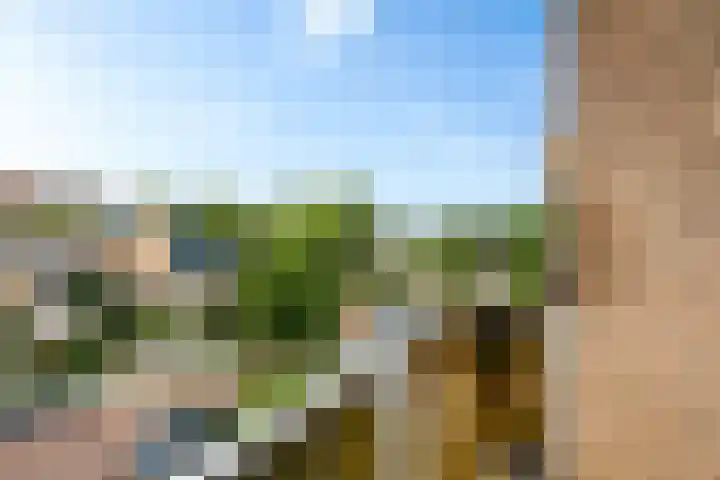 Cornelis Pronklaan 41 Alkmaar thumbnail 34