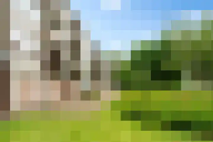 Cornelis Pronklaan 41 Alkmaar thumbnail 35