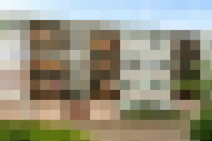 Cornelis Pronklaan 41 Alkmaar thumbnail 36