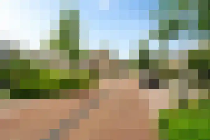 Cornelis Pronklaan 41 Alkmaar thumbnail 39