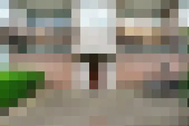 Cornelis Pronklaan 41 Alkmaar thumbnail 4