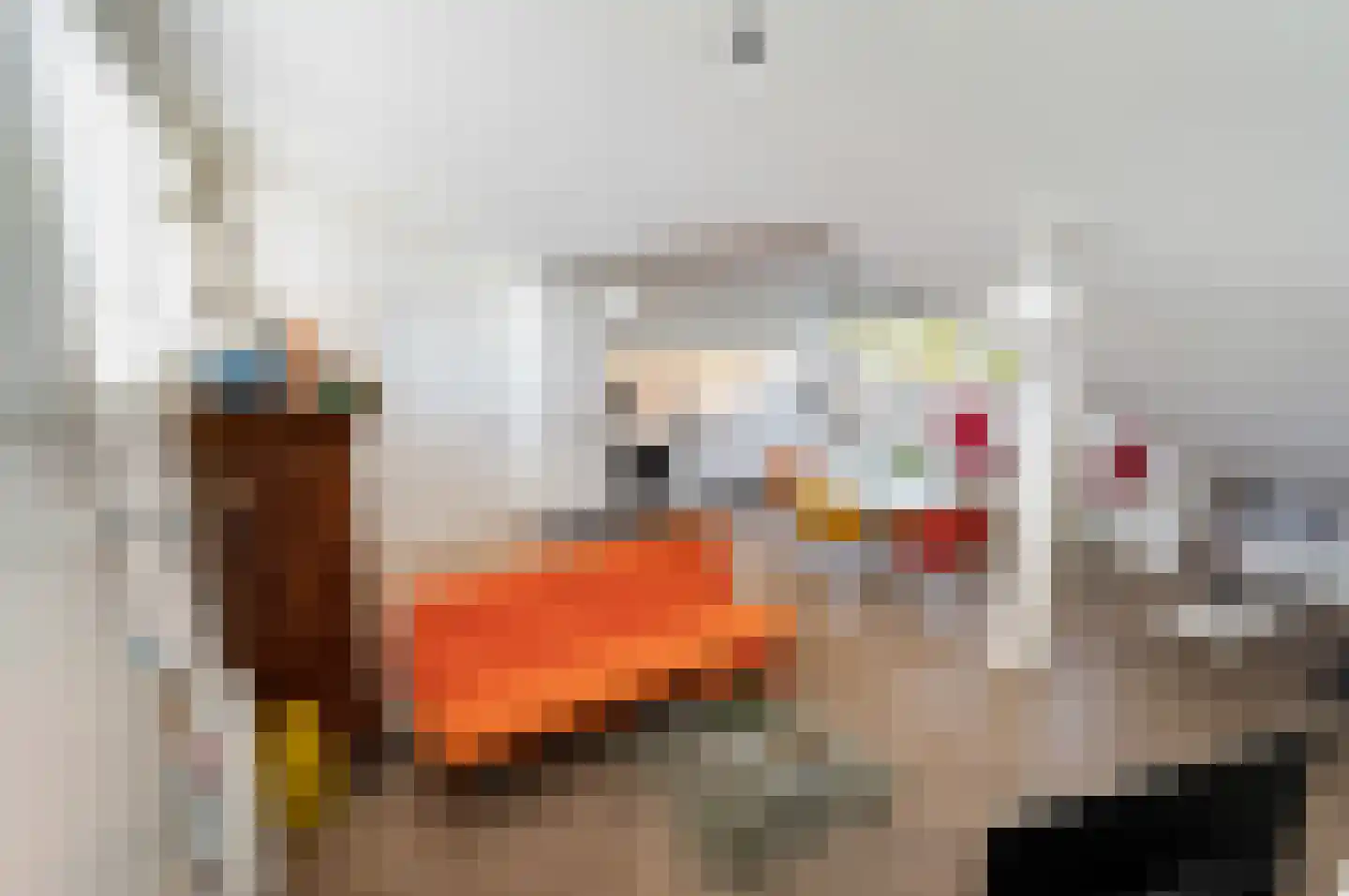 Cornelis Pronklaan 44 A Alkmaar thumbnail 16
