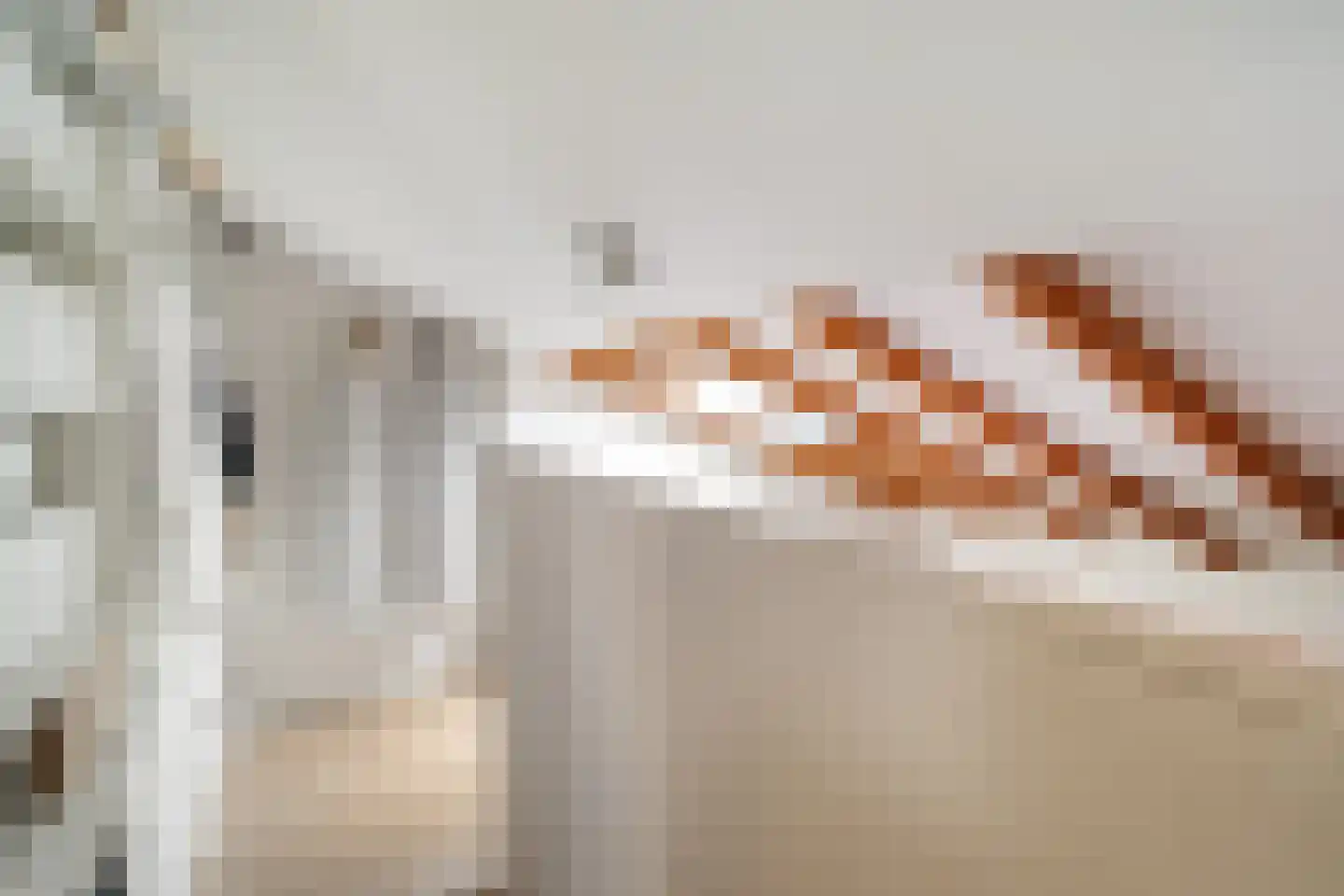 Cornelis Pronklaan 44 A Alkmaar thumbnail 19
