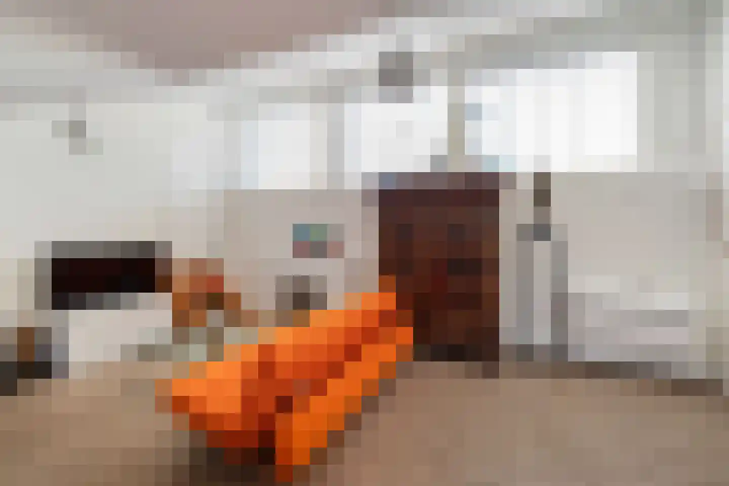 Cornelis Pronklaan 44 A Alkmaar thumbnail 5