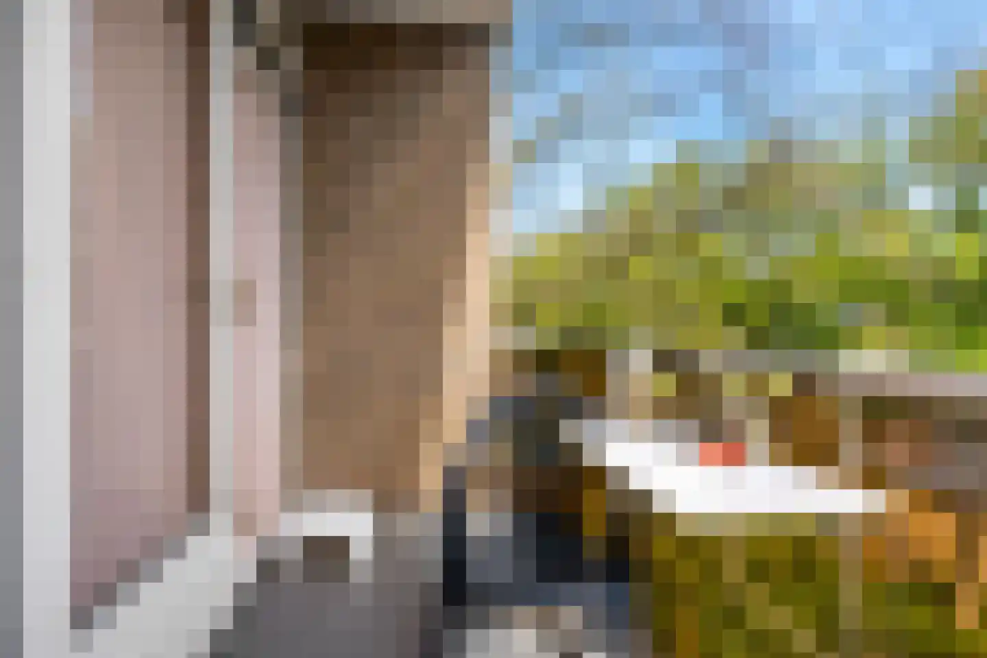 Cornelis Pronklaan 9 Alkmaar thumbnail 27