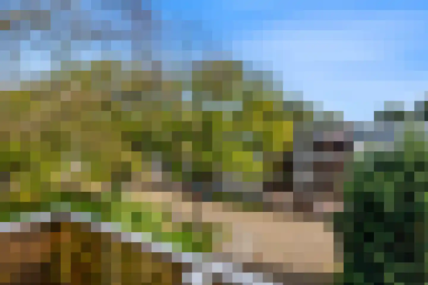 Cornelis Pronklaan 9 Alkmaar thumbnail 29
