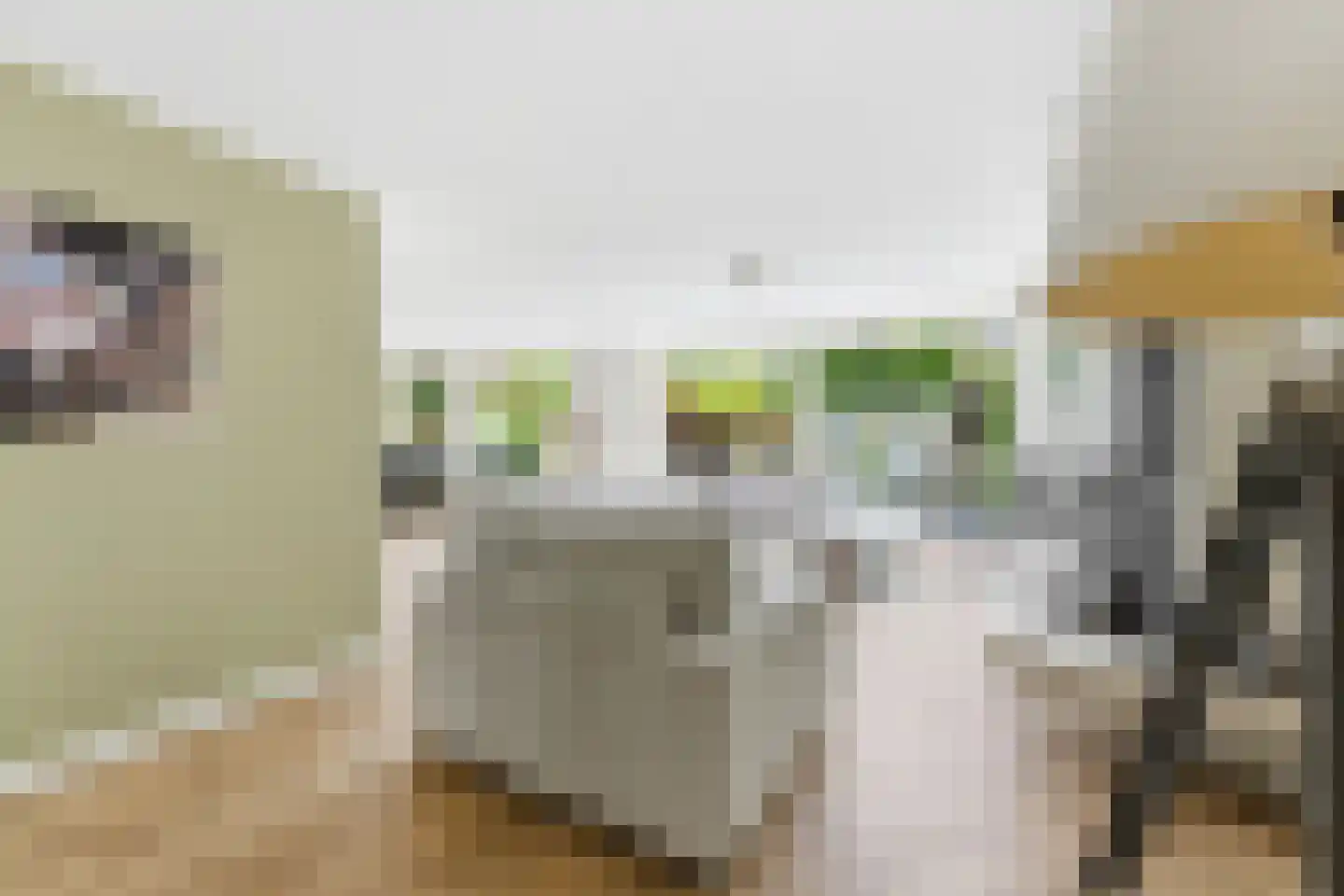 Cornelis Reeuwijkbocht 21 Rotterdam thumbnail 12