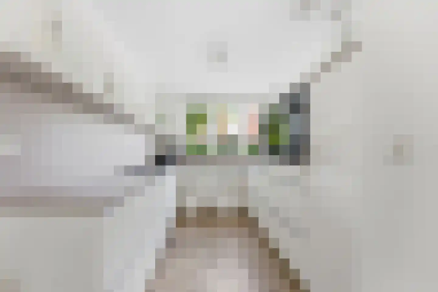 Cornelis Reeuwijkbocht 21 Rotterdam thumbnail 15