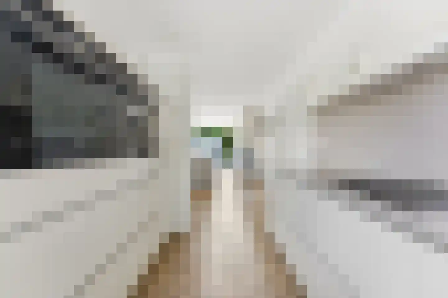 Cornelis Reeuwijkbocht 21 Rotterdam thumbnail 17