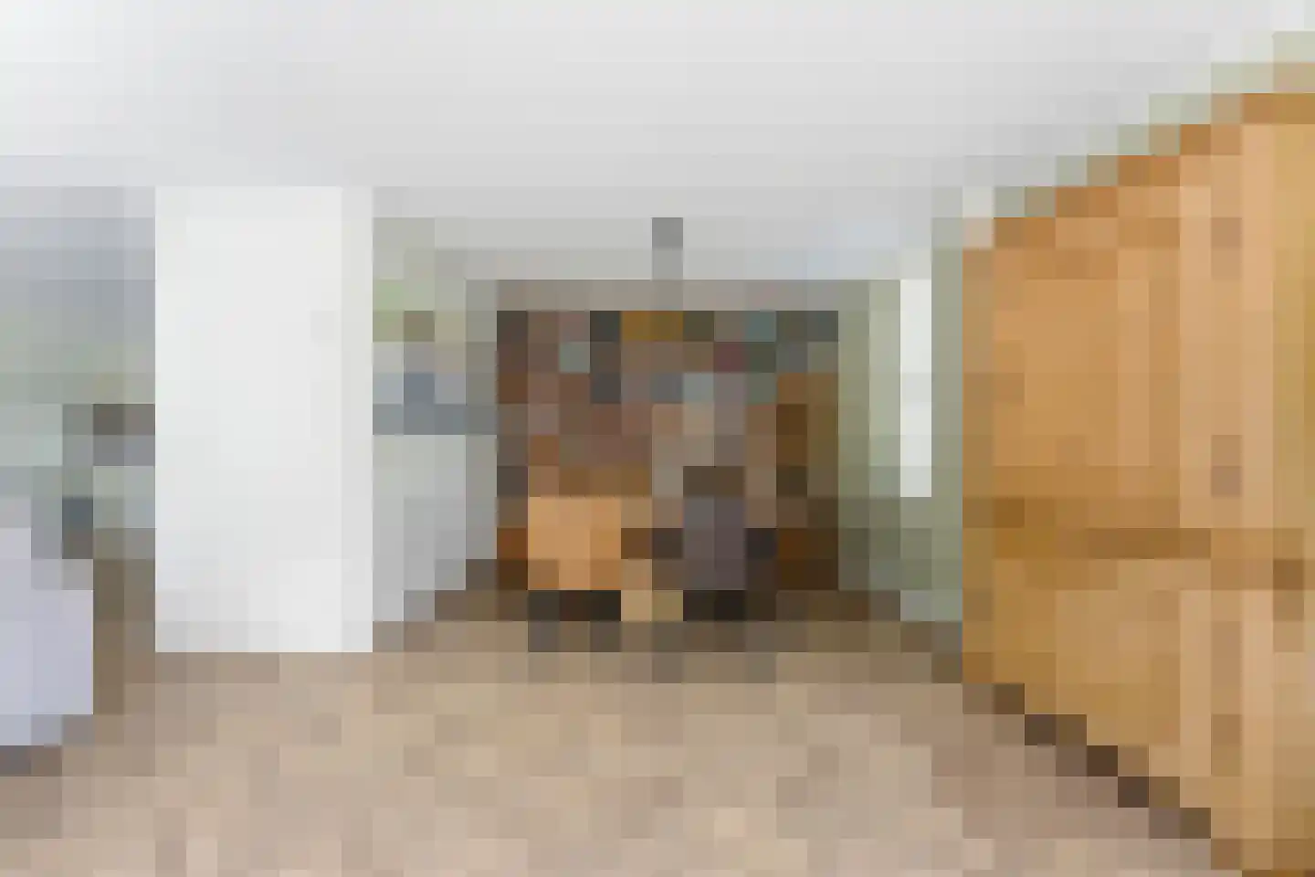 Cornelis Reeuwijkbocht 21 Rotterdam thumbnail 21