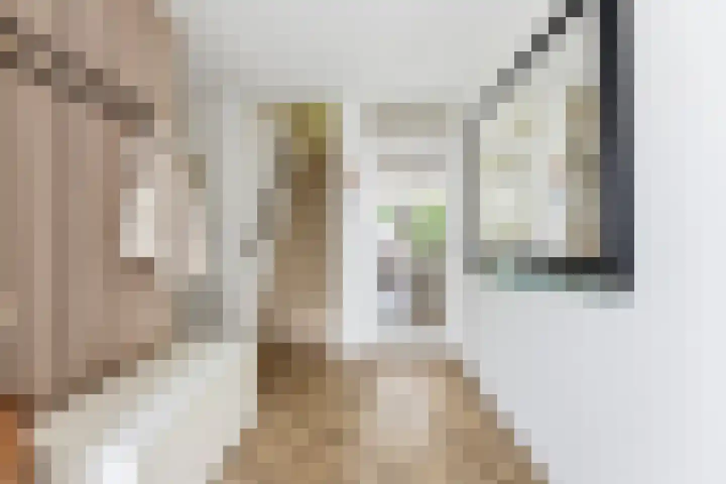 Cornelis Reeuwijkbocht 21 Rotterdam thumbnail 22